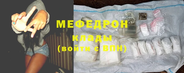 индика Горнозаводск