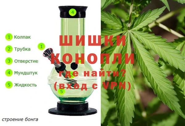 spice Вяземский