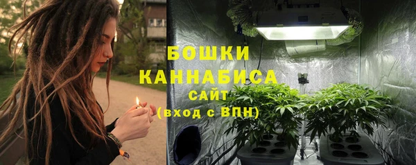 spice Вяземский