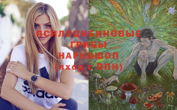 прущая мука Вязники