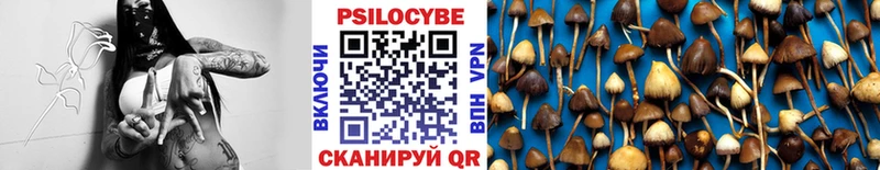 купить  цена  Бийск  Галлюциногенные грибы Magic Shrooms 